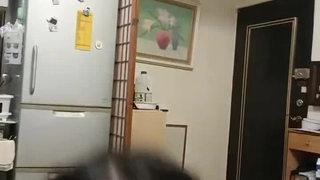 老公不在家排卵期熟妇出来受精